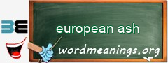 WordMeaning blackboard for european ash